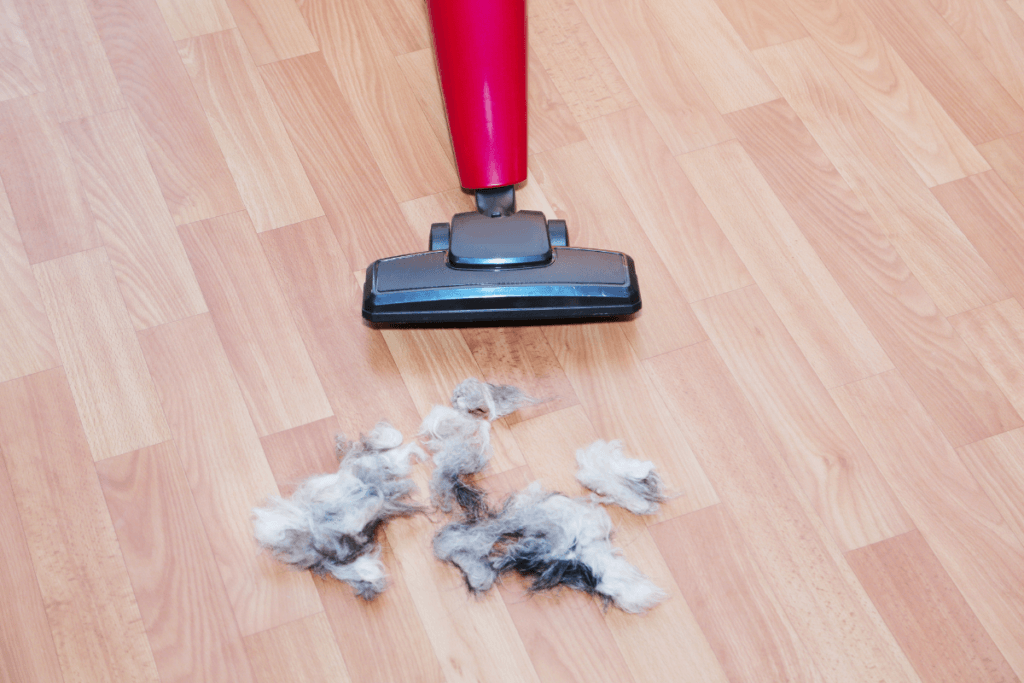 jak czyścić psie legowisko