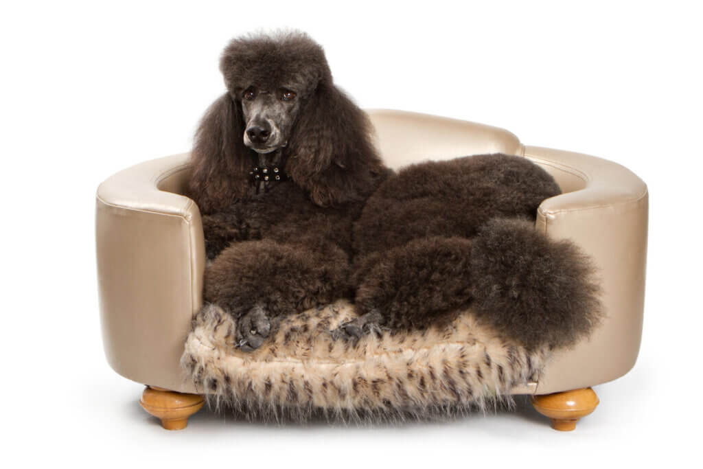 legowisko dla psa dużego