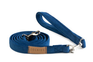 Smycz dla psa chabrowa ROYAL