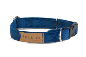 Obroża dla psa chabrowa ROYAL