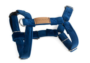 Szelki dla psa chabrowe ROYAL