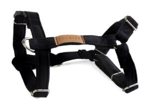 Szelki dla psa czarne ROYAL