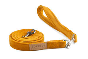 Smycz dla psa miodowa ROYAL