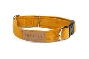 Obroża dla psa miodowa ROYAL