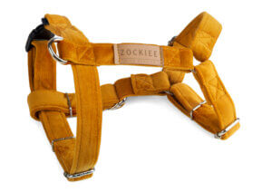 Szelki dla psa miodowe ROYAL