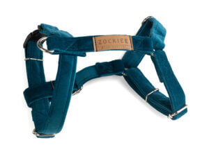 Szelki dla psa morskie ROYAL